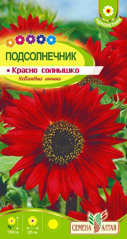 Подсолнечник Красно солнышко (цветной пакет) 0,5г; Семена Алтая