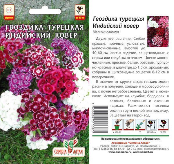 картинка Гвоздика турецкая Индийский Ковер (цветной пакет) 0,2г; Семена Алтая от магазина Флоранж