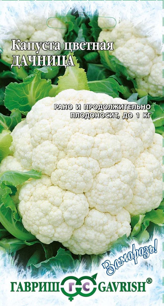 картинка Капуста цветная Дачница (цветной пакет) 0,2г; Гавриш от магазина Флоранж