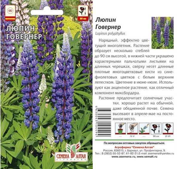 картинка Люпин многолетний Говернер (цветной пакет) 0,3г; Семена Алтая от магазина Флоранж