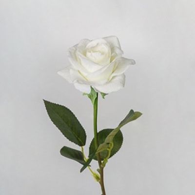 Роза Келли, белый, 44 см
