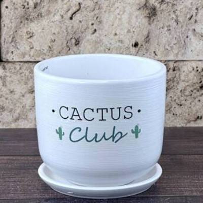 Горшок керамический цилиндр Кактус клуб 12х10,5см, 0,8л,  Россия