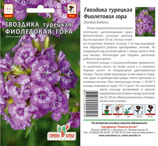 Гвоздика турецкая Фиолетовая Гора (цветной пакет) 0,2г; Семена Алтая