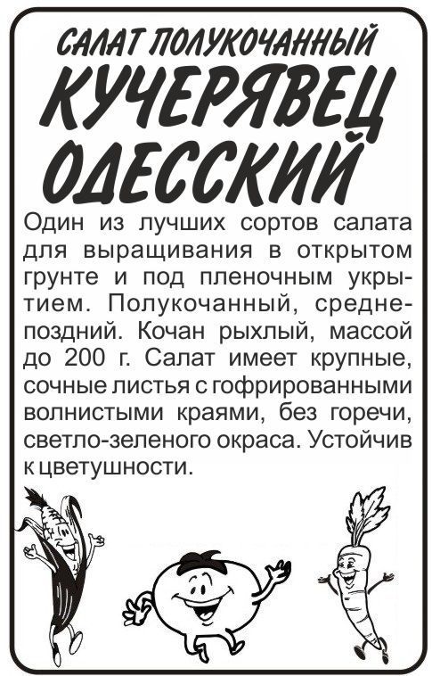 Салат кочанный Кучерявец Одесский (белый пакет) 0,5г; Семена Алтая