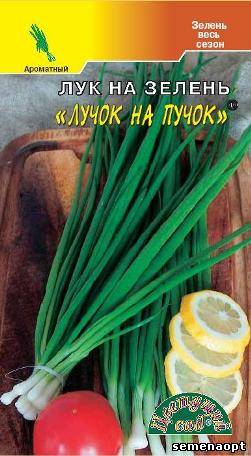 картинка Лук Ранний Пучок (цветной пакет) 035г; Семена Алтая от магазина Флоранж