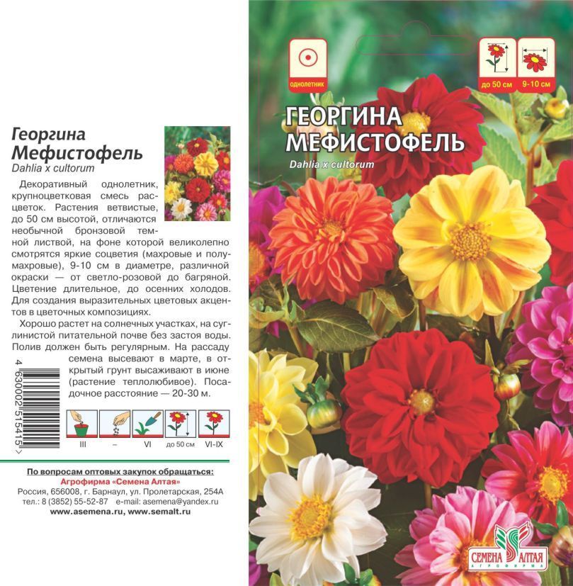 Георгина Мефистофель (цветной пакет) 0,2г; Семена Алтая