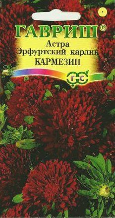 Астра Эрфуртский карлик Кармезин красная (цветной пакет) 0,3г; Гавриш