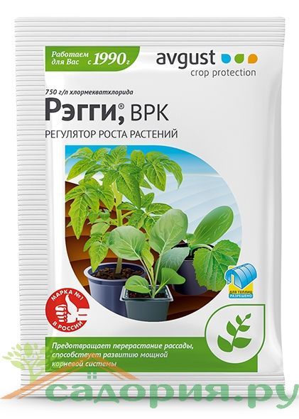 Средство защиты регулятор роста растений Рэгги (ампула), 1мл