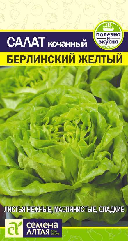 картинка Салат кочанный Берлинский желтый (цветной пакет) 0,5г; Семена Алтая от магазина Флоранж