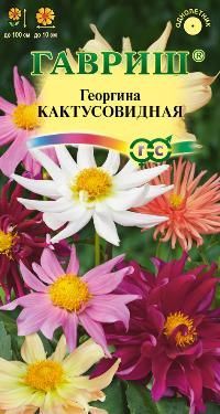 картинка Георгина Кактусовидная (цветной пакет) 0,2г; Гавриш от магазина Флоранж