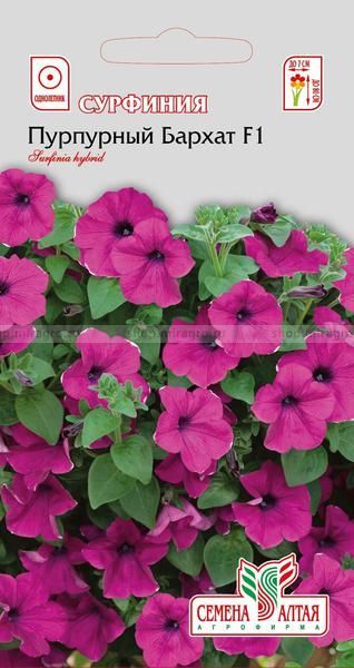 картинка Сурфиния Пурпурный Бархат (цветной пакет) 5шт; Семена Алтая от магазина Флоранж