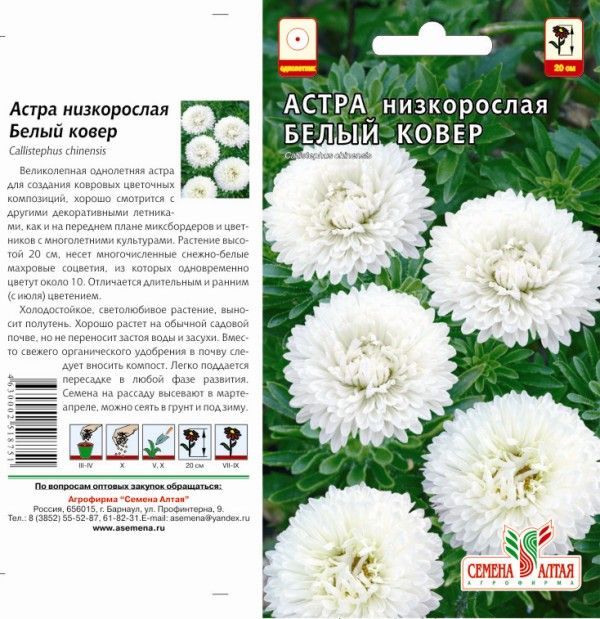 картинка Астра Белый Ковер (цветной пакет) 0,1г; Семена Алтая от магазина Флоранж