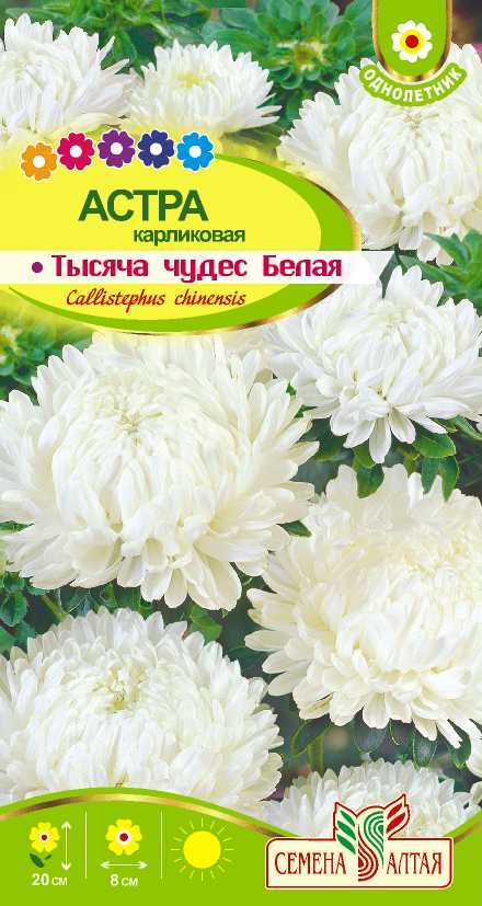 картинка Астра Тысяча чудес белая карликовая(цветной пакет) 0,2г; Семена Алтая от магазина Флоранж