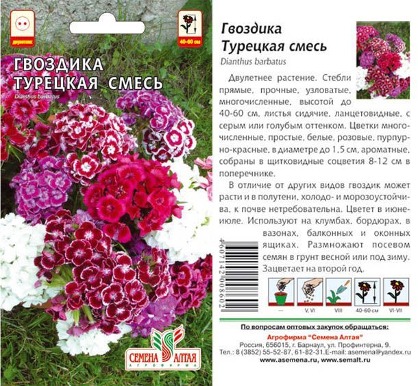 картинка Гвоздика турецкая Смесь Окрасок (цветной пакет) 0,2г; Семена Алтая от магазина Флоранж