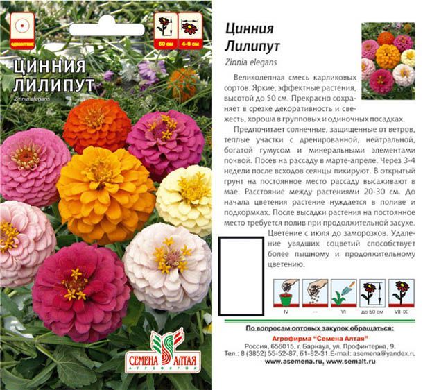 картинка Цинния Лилипут (цветной пакет) 0,3г; Семена Алтая от магазина Флоранж