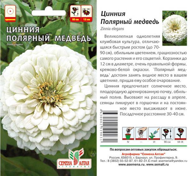 Цинния Полярный Медведь (цветной пакет) 0,3г; Семена Алтая