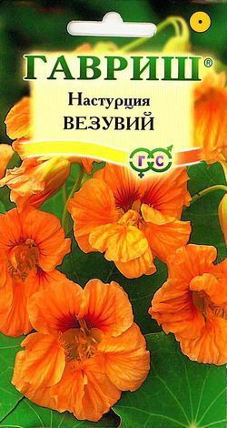 картинка Настурция Везувий (цветной пакет) 1,0г; Гавриш от магазина Флоранж