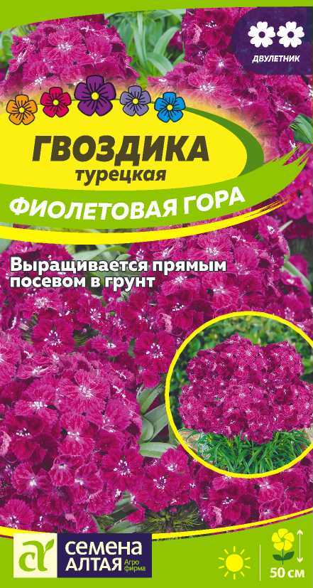 Гвоздика турецкая Фиолетовая Гора (цветной пакет) 0,1г; Семена Алтая