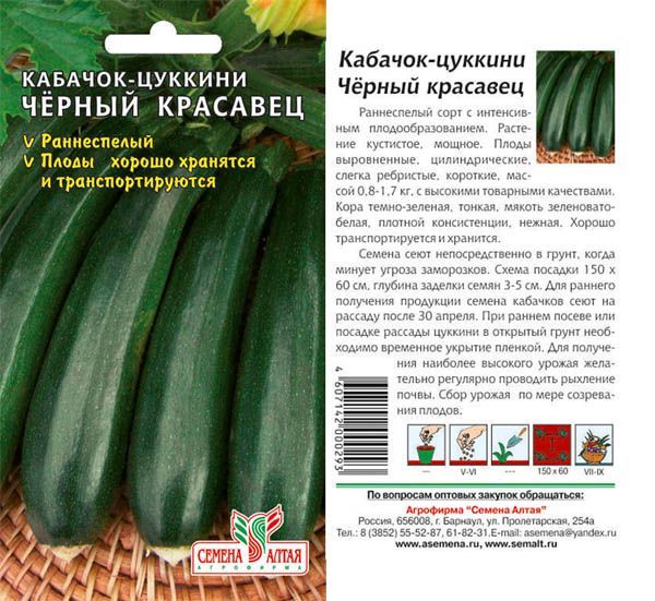 картинка Кабачок цуккини Черный Красавец (цветной пакет) 2г; Семена Алтая от магазина Флоранж