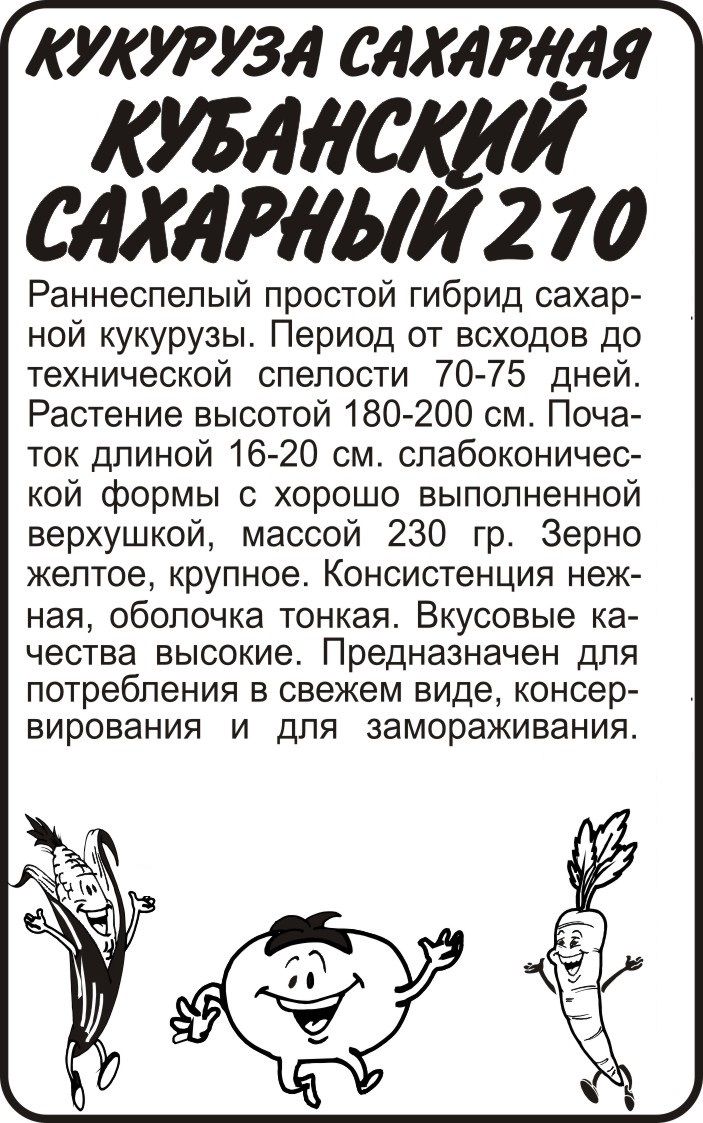 картинка Кукуруза Кубанский Сахарный 210 (белый пакет) 5г; Семена Алтая от магазина Флоранж