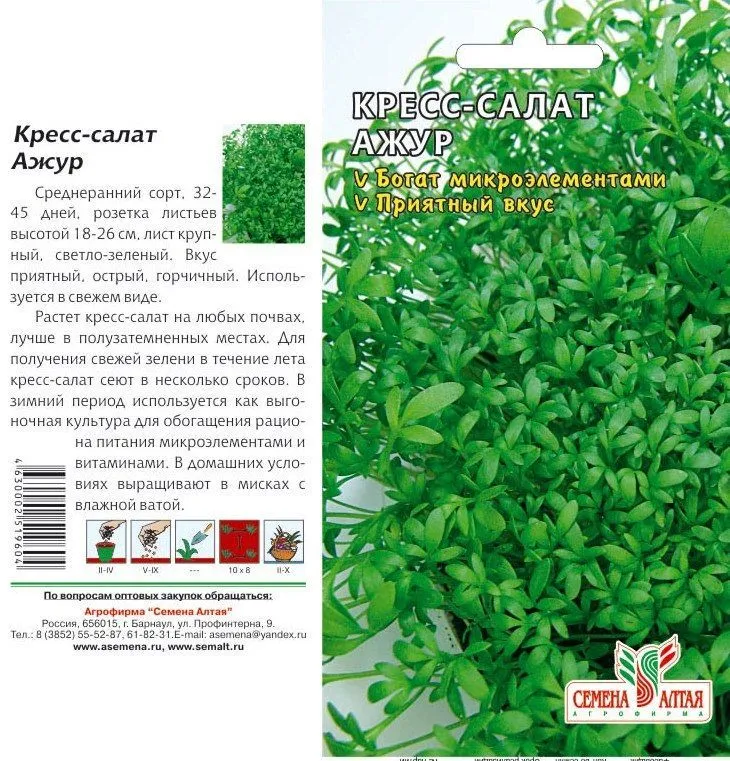 Кресс-салат Ажур (цветной пакет) 1г; Семена Алтая