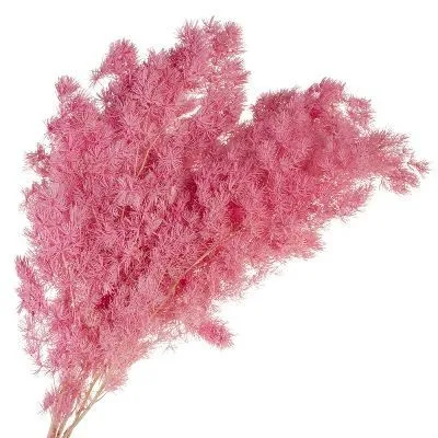 картинка Набор сухоцветов, Н55см, розовый от магазина Флоранж