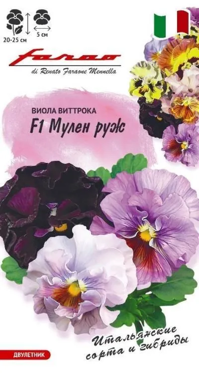 Виола Мулен руж F1 Виттрока (Анютины глазки) (цветной пакет) 5шт; Гавриш
