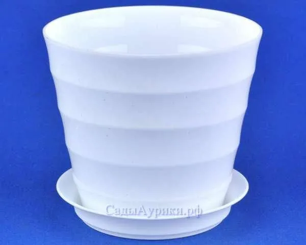 Горшок пластиковый Лаура, белое, 11,5х10см, 0,7л; Россия