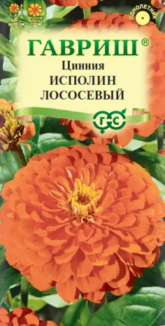 картинка Цинния Исполин лососевый (цветной пакет) 0,3г; Гавриш от магазина Флоранж