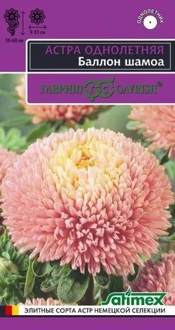 картинка Астра Баллон шамоа (цветной пакет) 0,05г; Гавриш от магазина Флоранж