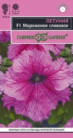 Петуния крупноцветковая Мороженое сливовое F1 (цветной пакет) 5шт; Гавриш