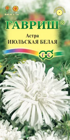 картинка Астра Июльская белая (цветной пакет) 0,3г; Гавриш от магазина Флоранж