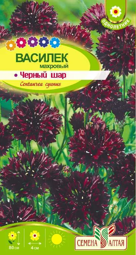 Василек Черный шар махровый (цветной пакет) 0,5г; Семена Алтая