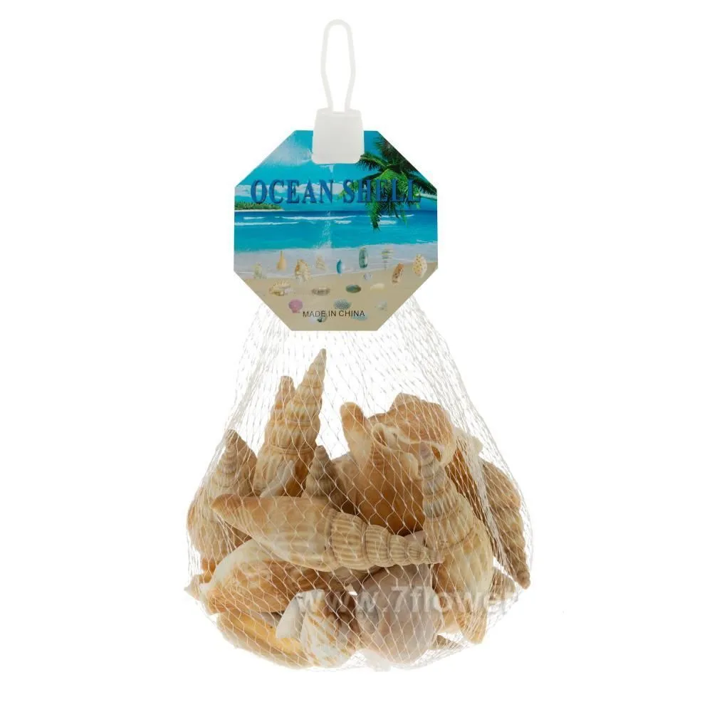 картинка набор ракушек 145гр от магазина Флоранж
