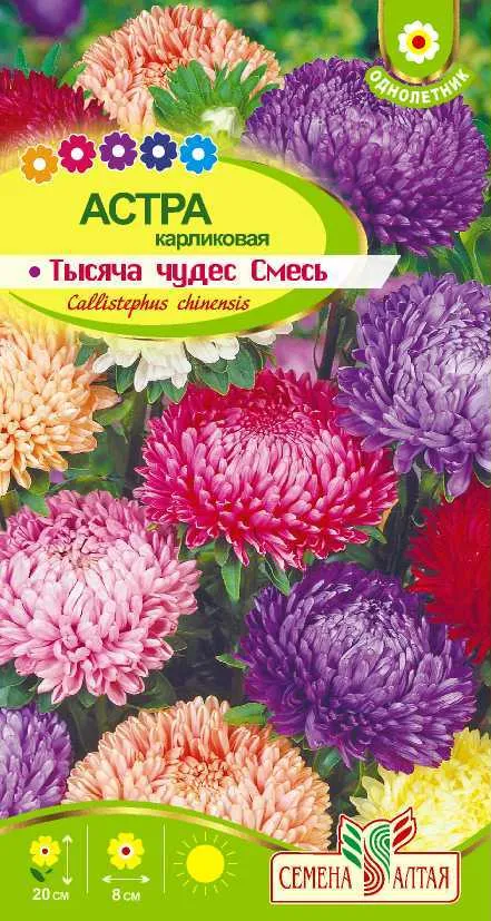 Астра Тысяча чудес смесь карликовая (цветной пакет) 0,15г; Семена Алтая