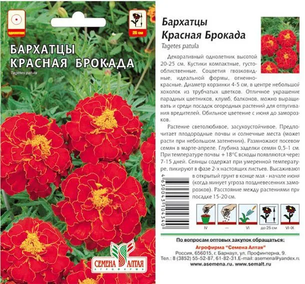 картинка Бархатцы Красная Брокада (цветной пакет) 0,3г; Семена Алтая от магазина Флоранж