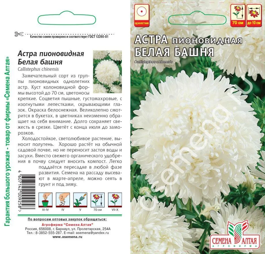 картинка Астра Белая Башня (цветной пакет) 0,2г; Семена Алтая от магазина Флоранж