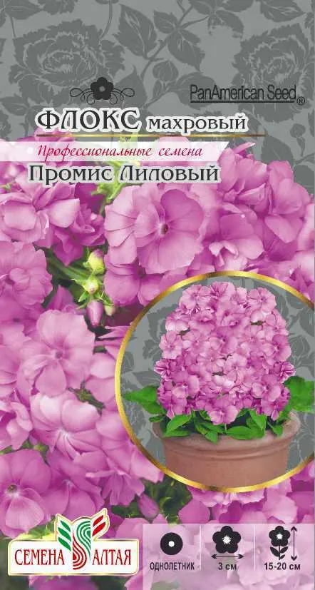 картинка Флокс Промис (цветной пакет) 5шт.; Семена Алтая от магазина Флоранж