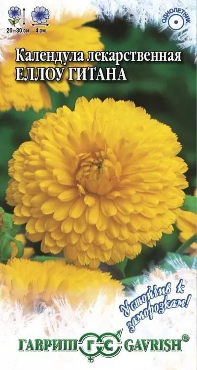 картинка Календула Еллоу Гитана (цветной пакет) 0,3г; Гавриш от магазина Флоранж