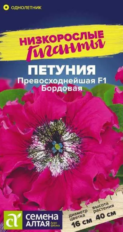 картинка Петуния Превосходнейшая Бордовая (цветной пакет) 7шт; Семена Алтая от магазина Флоранж