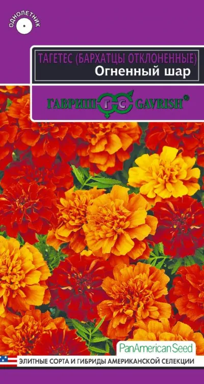 картинка Бархатцы Огненный шар (цветной пакет) 5шт; Гавриш от магазина Флоранж