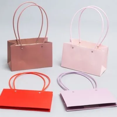 Сумка Мастхэв прямоугольная, ассорти, 22х13,5х10,5 см; Китай