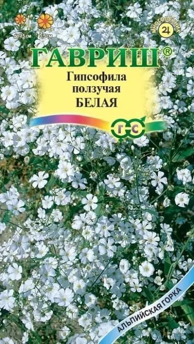 картинка Гипсофила ползучая Белая  (цветной пакет) 0,05г; Гавриш от магазина Флоранж