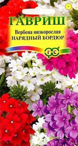 картинка Вербена Нарядный Бордюр (цветной пакет) 0,08г; Гавриш от магазина Флоранж