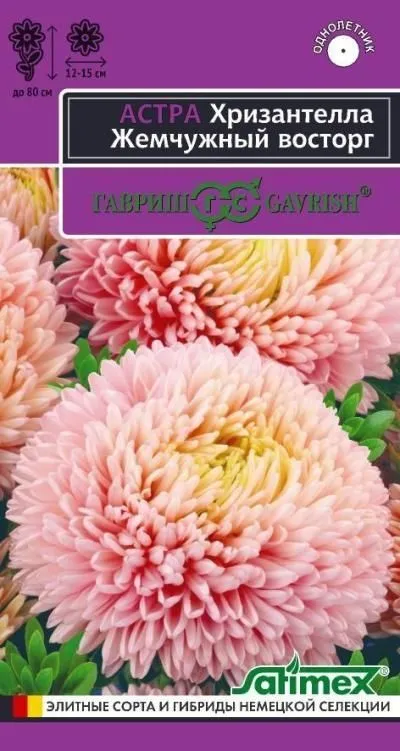 Астра Хризантелла Жемчужный восторг (цветной пакет) 0,05г; Гавриш