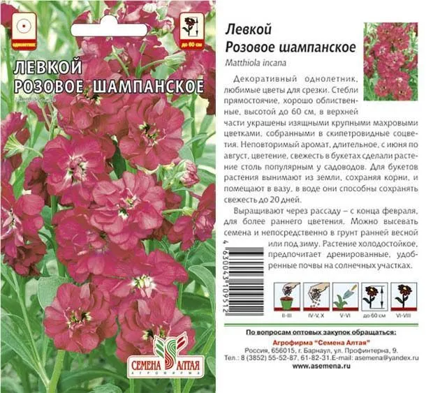 картинка Левкой Розовое Шампанское (цветной пакет) 0,05г; Семена Алтая от магазина Флоранж