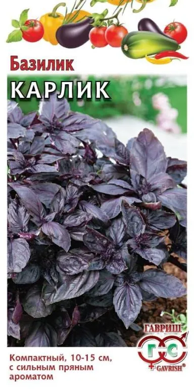 картинка Базилик Карлик фиолетовый (цветной пакет) 0,1г; Гавриш от магазина Флоранж