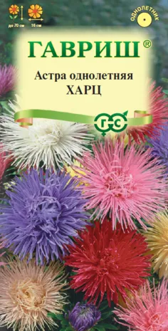 картинка Астра Харц, тонкоигольчатая смесь (цветной пакет) 0,3г; Гавриш от магазина Флоранж