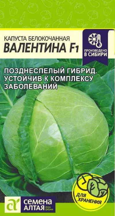 картинка Капуста белокочанная Валентина (цветной пакет) 0,1г; Семена Алтая от магазина Флоранж