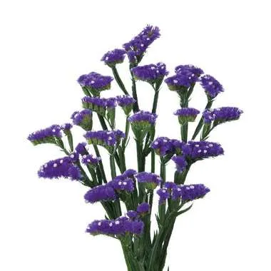 картинка статица Кристалл Дарк Блу Экстра от магазина Флоранж